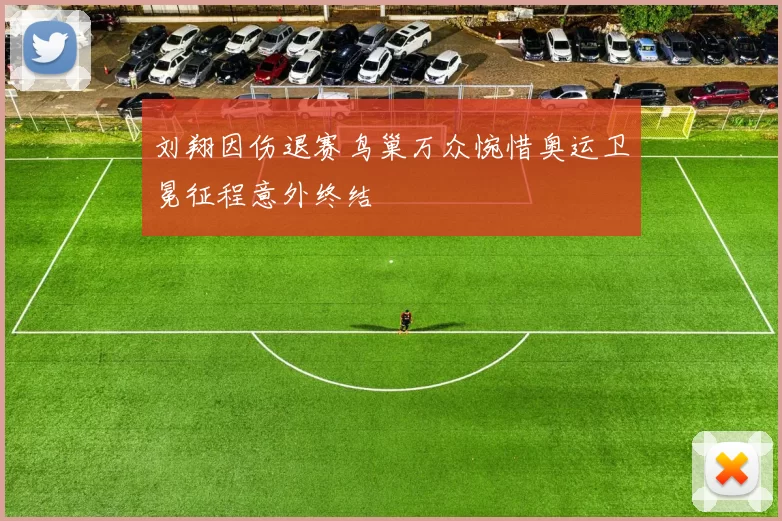 刘翔因伤退赛鸟巢万众惋惜奥运卫冕征程意外终结