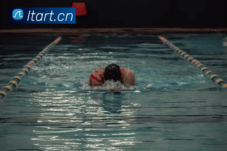 App Interface Preview